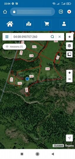 Участок 25 га (СНТ, ДНП)