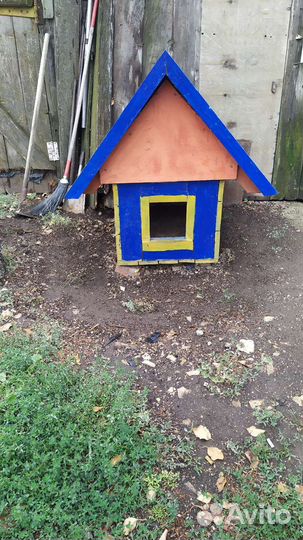 Новая будка