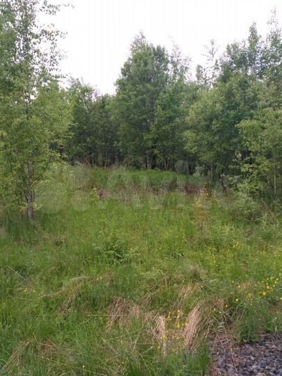 Участок 10 сот. (СНТ, ДНП)