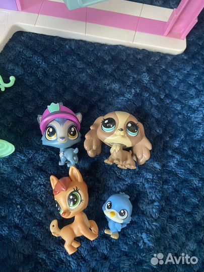 Littlest Pet Shop локация зоомагазин