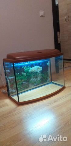 Аквариум