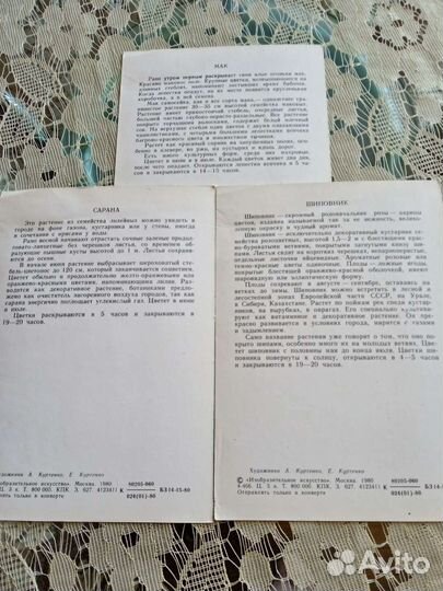 Открытки СССР часы растения