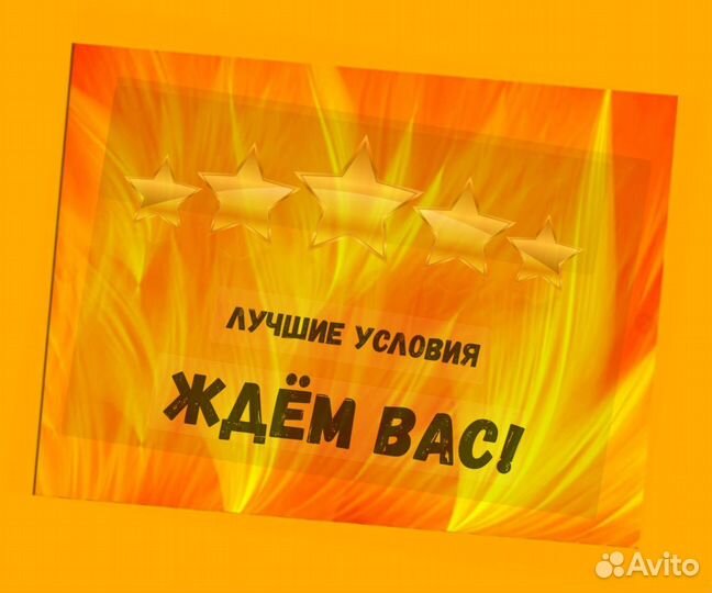 Комплектовщик Спецодежда Еженедельный аванс М/Ж