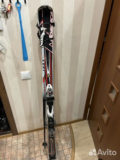 Горные лыжи