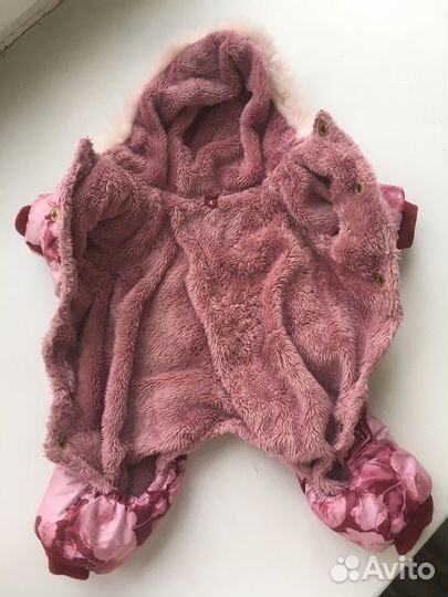 Одежда для собак