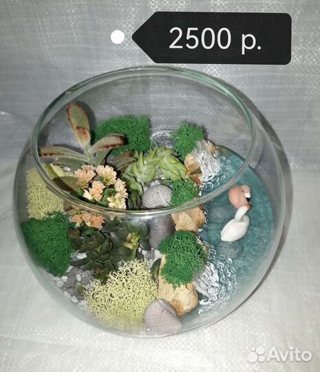 Флорариум с суккулентами, оригинальный подарок