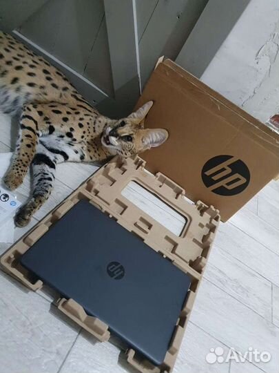 Ноутбук С гарантией. продажа в магазине