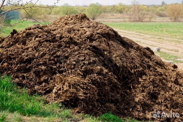 Навоз, перегной. В мешках и навалом