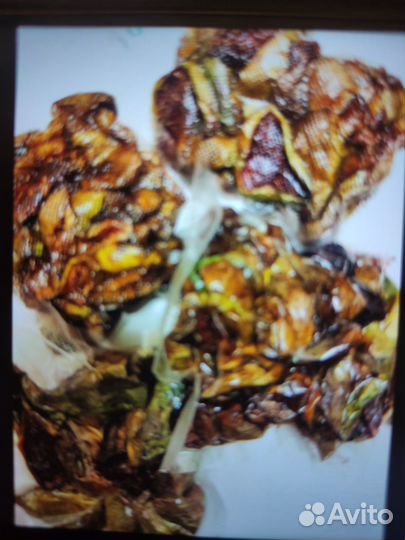 Инжир плоды, саженцы