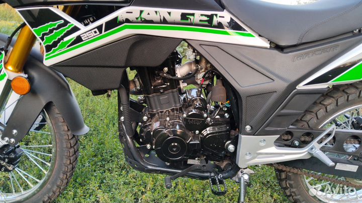 Racer Ranger (250)