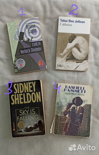 Книги на английском/французском