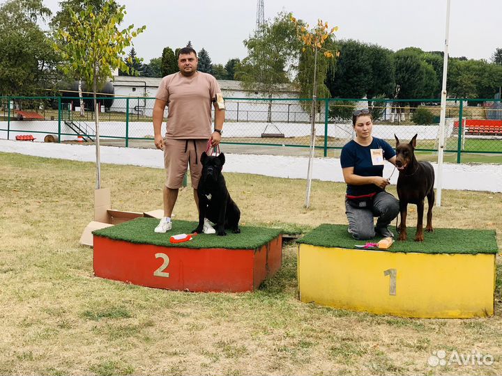 Зоогостиница