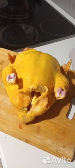 Домашние куры бройлеры