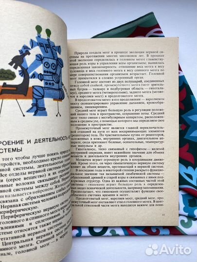 Предупреждение бессоницы / Виталий Федорцов