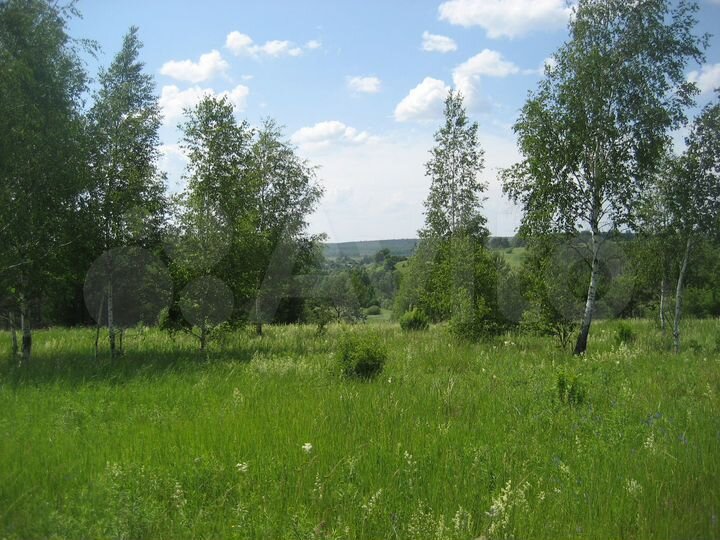 Участок 22 га (ИЖС)