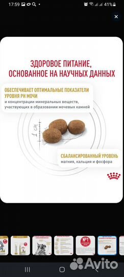 Сухой корм для кошек royal canin urinary s o