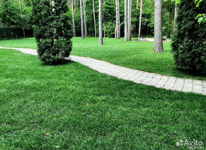 Рулонный газон под ключ