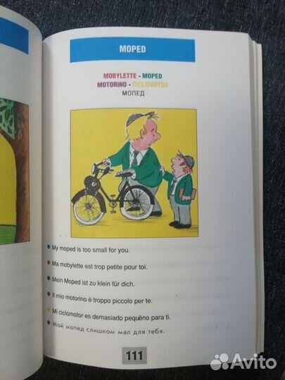 EuroDico. Словарь для молодых европейцев