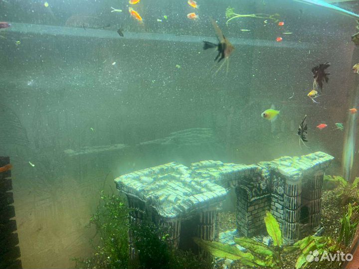 Аквариум jebo