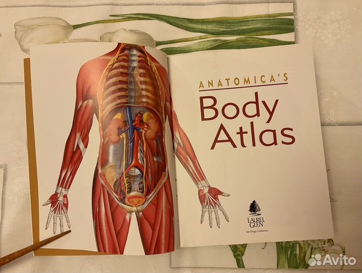 Anatomica’s body atlas