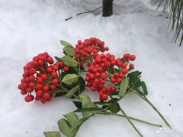 Для фотосессиий ветки рябины
