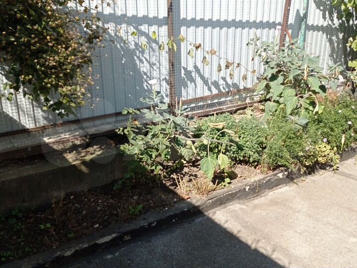 Дом 63,8 м² на участке 3 сот.