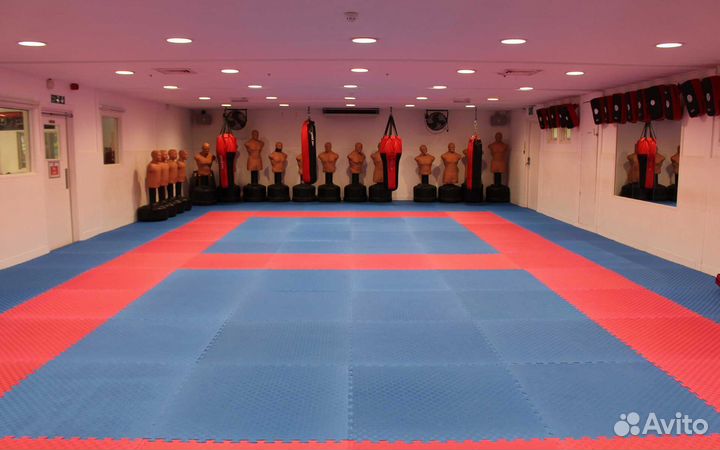 Будо маты ласточкин хвост