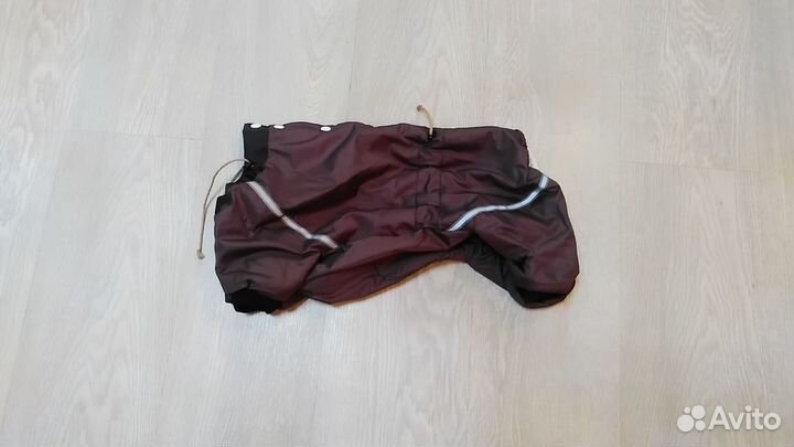 Новые комбинезоны и обувь для собак