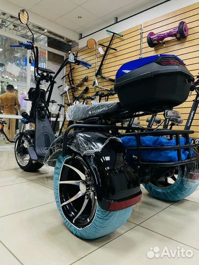Skyboard trike BR60-3000 (marusya)