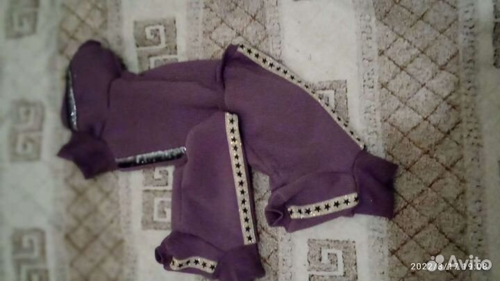 Шью на заказ одежду для собак