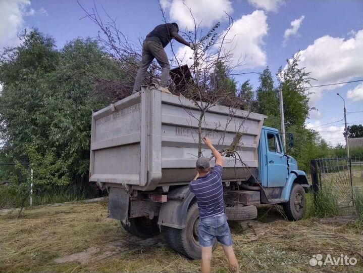 Вывоз мусора