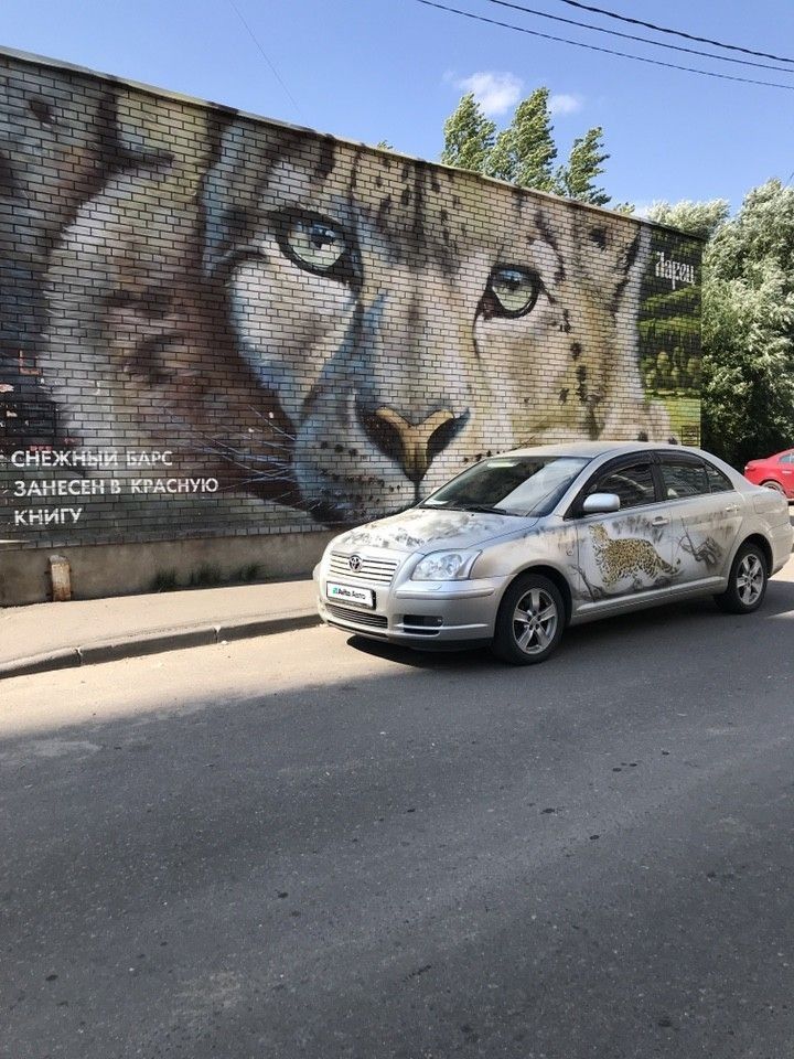 Toyota Avensis: фото владельца
