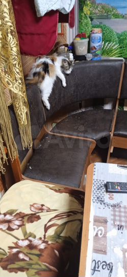 3-к. квартира, 70,8 м², 2/5 эт.