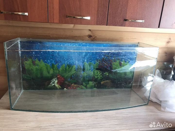 Аквариум 100 литров