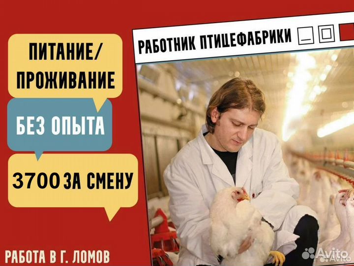 Работа разнорабочий вахта с проживанием