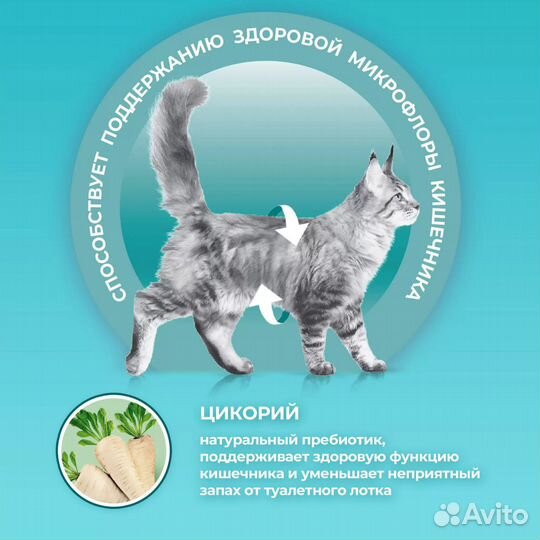 Purina One с лососем и пшеницей 1.5кг