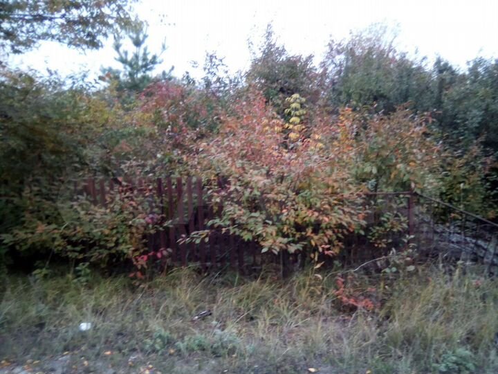 Дача 40 м² на участке 10 сот.