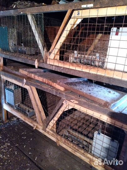 Клетка для кролика