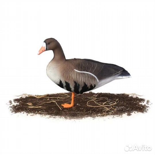 Чучела гусей North Way и Oscar Decoys