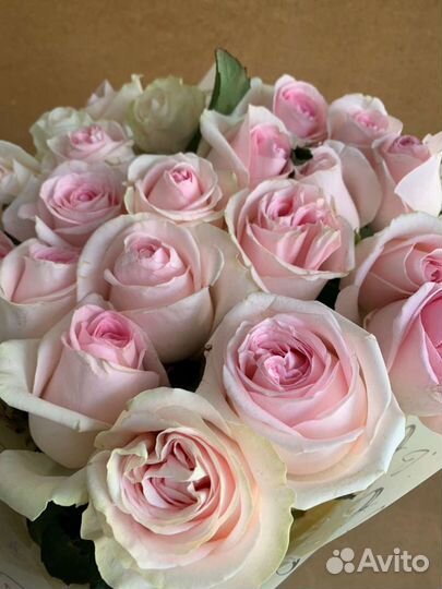 Букет из 25 роз 60 см