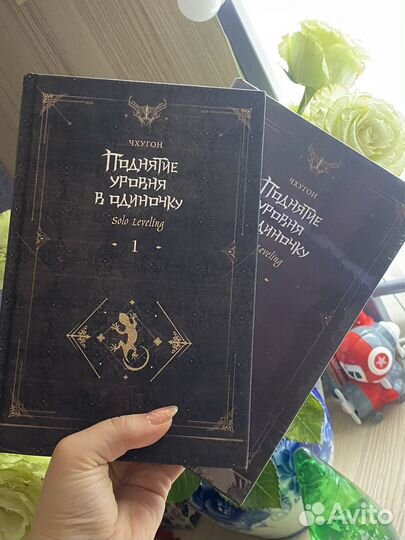 Поднятие уровня в одиночку 2 тома