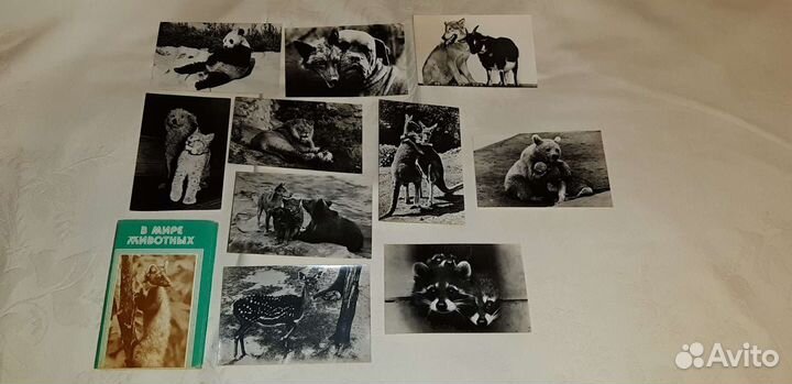 Советские открытки (часть 3)