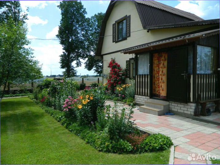 Семена газонной травы