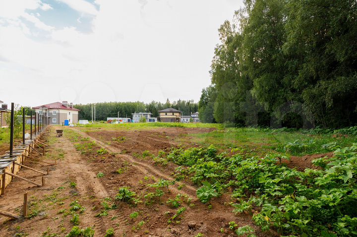 Участок 20 сот. (СНТ, ДНП)