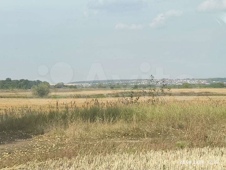 Участок 5 га (СНТ, ДНП)