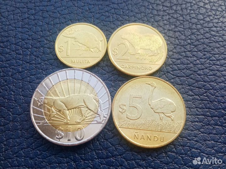 Уругвай животные