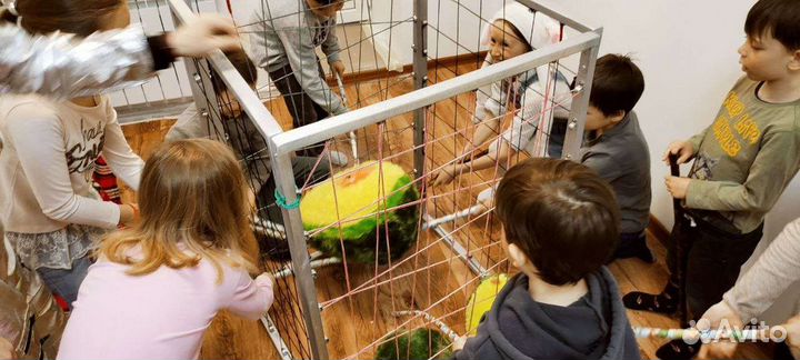 Выездной квест для детей, аренда реквизита