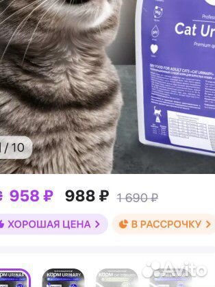 Корм для кастрированных котов Cat Urinary