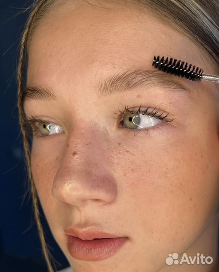 Обучение бровист