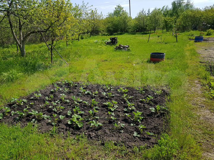 Дача 24 м² на участке 12 сот.